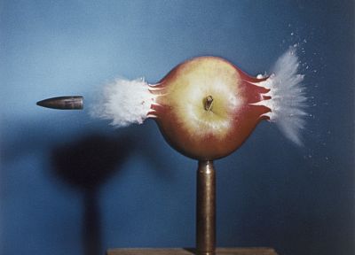 crash, ammunition, apples - related desktop wallpaper