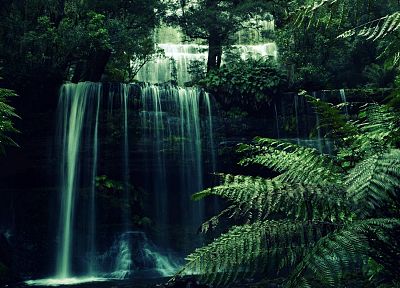 nature, forests, waterfalls - desktop wallpaper