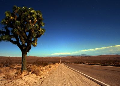 trees, deserts, roads, joshua tree - random desktop wallpaper