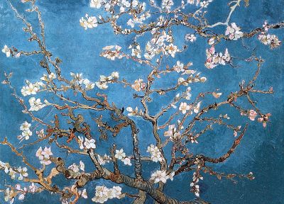 blossoms, Vincent Van Gogh, artwork, almond - random desktop wallpaper