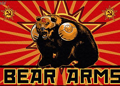 bears, Bear Arms - random desktop wallpaper