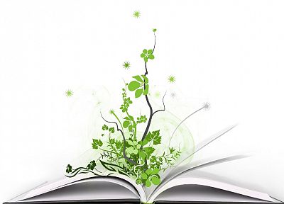 plants, books - random desktop wallpaper