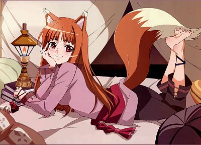 tails, Spice and Wolf, long hair, animal ears, red eyes, Holo The Wise Wolf, inumimi - related desktop wallpaper