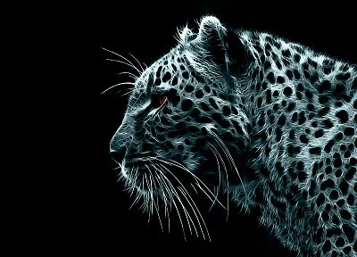 black, white, digital, leopards - related desktop wallpaper