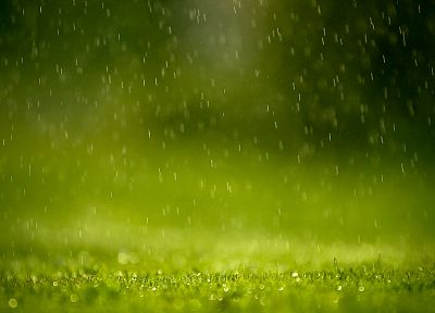 rain, grass - desktop wallpaper