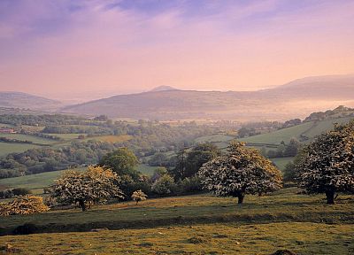 landscapes, nature, Wales, parks - random desktop wallpaper