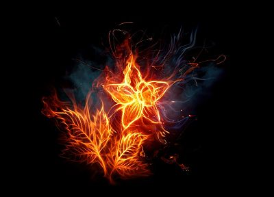 flames, flowers, fire, photo manipulation, black background, fire flower - desktop wallpaper