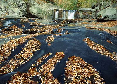 forests, national, Tennessee, rivers - desktop wallpaper