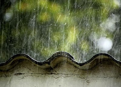 nature, rain - desktop wallpaper