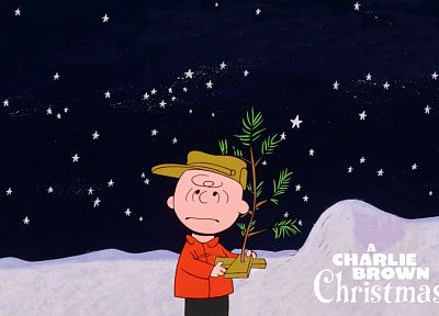 Charlie Brown, Peanuts (Comic Strip) - desktop wallpaper