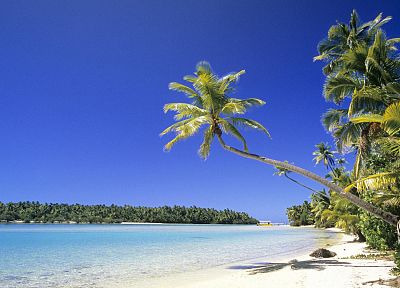 Sun, sand, Cook Islands, palm trees - desktop wallpaper