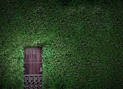nature, houses, hedges, gates, doors, vines - random desktop wallpaper