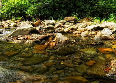 nature, forests, rivers - related desktop wallpaper