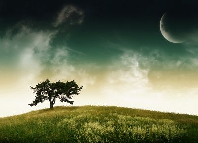 landscapes, nature, trees, planets - random desktop wallpaper