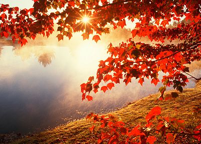 sunset, nature, trees, lakes - related desktop wallpaper