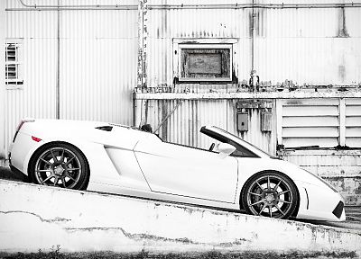 white, cars, Lamborghini - random desktop wallpaper