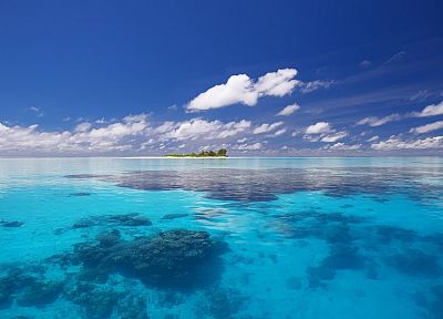 ocean, reef, skyscapes - random desktop wallpaper