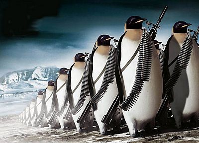 army, penguins - desktop wallpaper