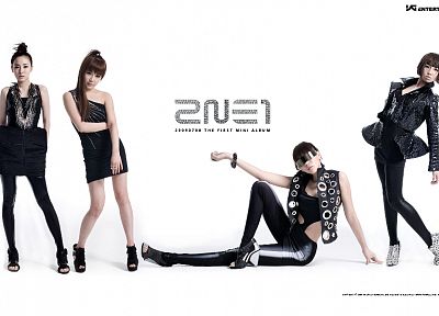 2NE1, Dara, Minzy, Park Bom, K-Pop, CL (singer), white background - duplicate desktop wallpaper