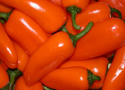 food, peppers - desktop wallpaper