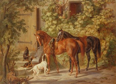 nature, animals, horses - desktop wallpaper