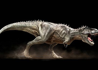 dinosaurs, Tyrannosaurus Rex - random desktop wallpaper