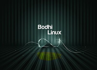 Linux, Bodhi Linux - random desktop wallpaper