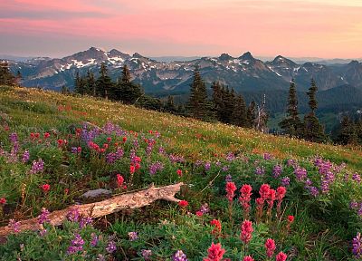 range, Washington, Mount Rainier - desktop wallpaper