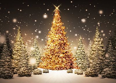 Christmas trees - duplicate desktop wallpaper