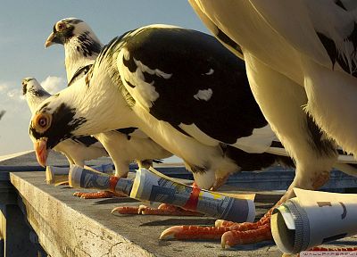 birds, pigeons, euro bills - desktop wallpaper