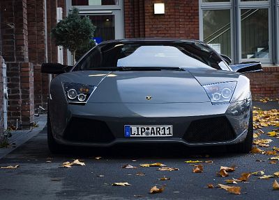 cars, gray, vehicles, Lamborghini Murcielago, front view, fallen leaves - desktop wallpaper