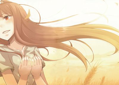 Spice and Wolf, nekomimi, animal ears, Holo The Wise Wolf, anime girls - related desktop wallpaper