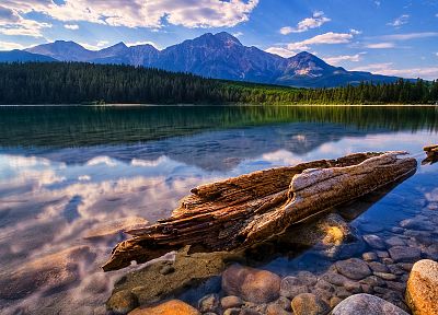 water, landscapes, trees, lakes, rivers, reflections - related desktop wallpaper
