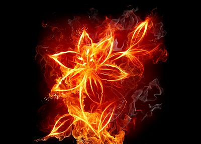 flames, flowers, fire, smoke, black background - related desktop wallpaper