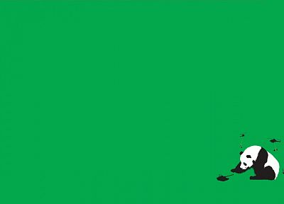 green, minimalistic, funny, panda bears, Threadless, simple background - random desktop wallpaper