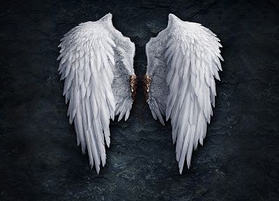 wings - duplicate desktop wallpaper