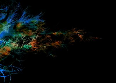 abstract, multicolor, feathers - related desktop wallpaper