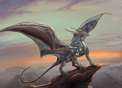 dragons, 3D - related desktop wallpaper