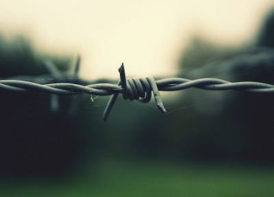 barbed wire - desktop wallpaper