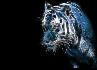blue, animals, tigers, Fractalius, black background - desktop wallpaper