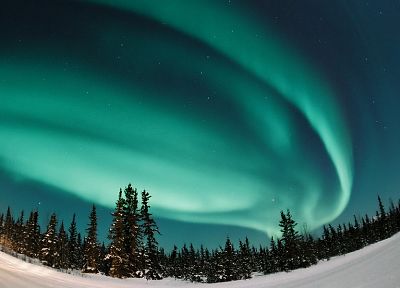 landscapes, snow, forests, aurora borealis - random desktop wallpaper