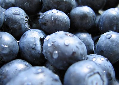 close-up, fruits, food, water drops, blueberries - desktop wallpaper