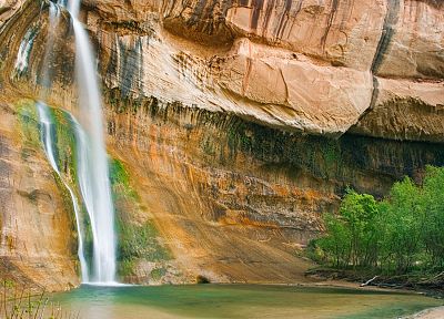 trees, cliffs, waterfalls - desktop wallpaper