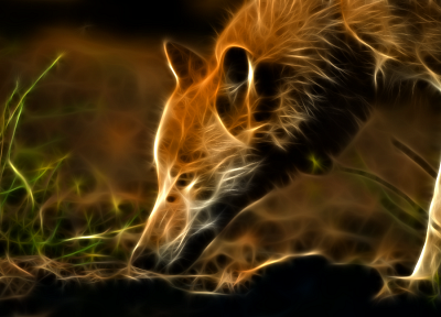 animals, Fractalius, foxes - desktop wallpaper