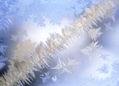 close-up, snowflakes - random desktop wallpaper