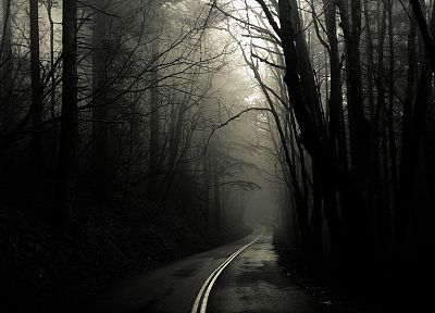 landscapes, trees, fog, grayscale, roads, Greg Martin - related desktop wallpaper