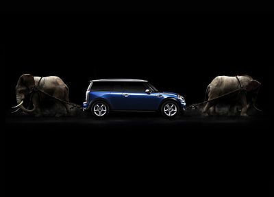 cars, elephants - desktop wallpaper