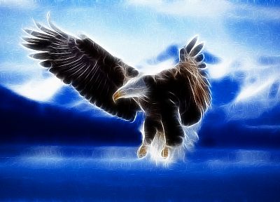 Fractalius, bald eagles - desktop wallpaper