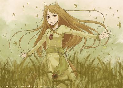 Spice and Wolf, Holo The Wise Wolf, anime girls - duplicate desktop wallpaper