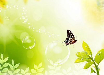 plants, bubbles, digital art, butterflies - duplicate desktop wallpaper